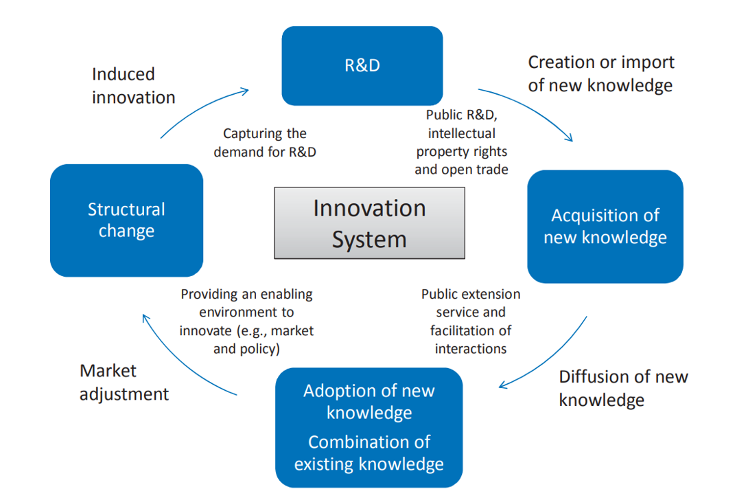 Innovation dynamics