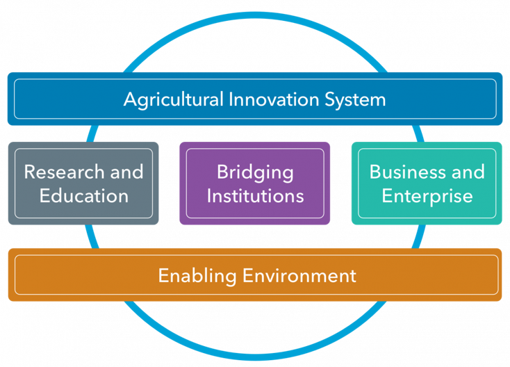 Agricultural Innovation System